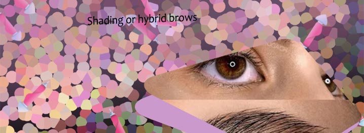Hybrid brows near me