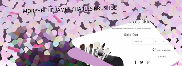 James charles makeup brush set